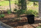 Byrrill Creekorganic-gardening-6.jpg; ?>