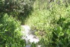 Byrrill Creeksustainable-landscaping-16.jpg; ?>